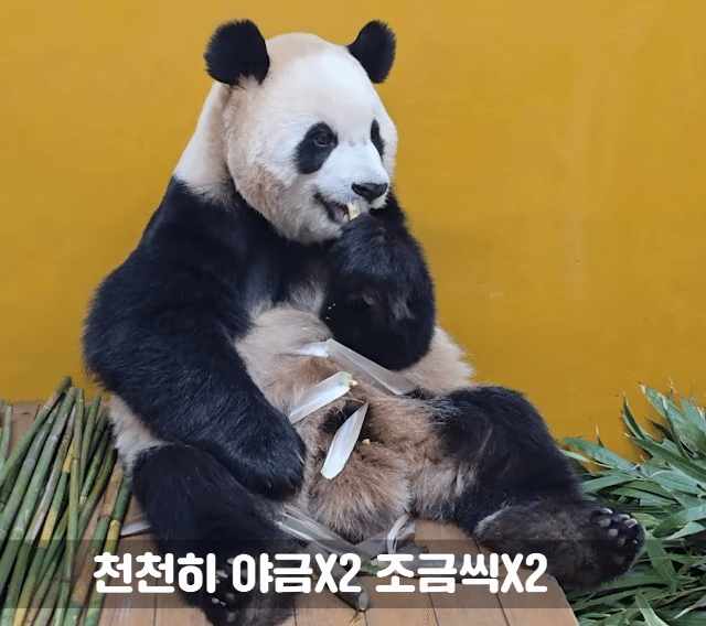 edHFzo.gif