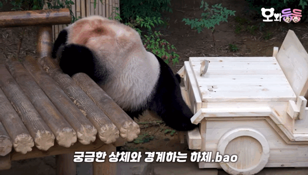 efdsbr.gif