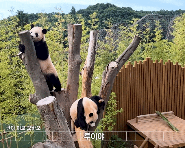 eilVjp.gif