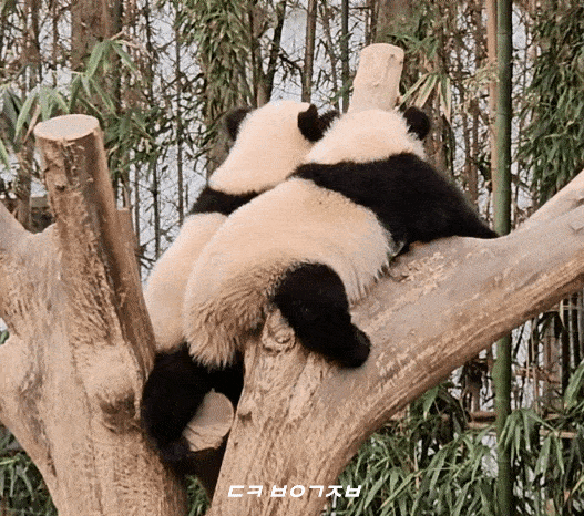 evVJKP.gif