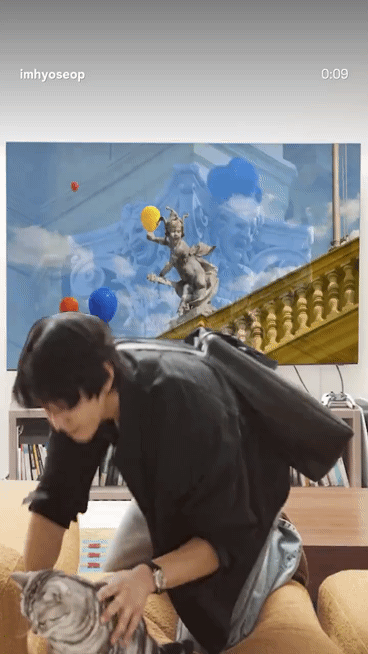 eveavx.gif