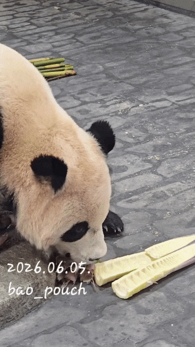 ezZViG.gif