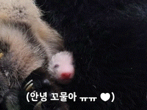 fBbXdp.gif