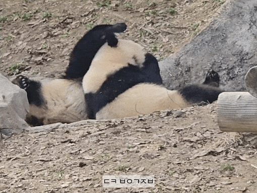 fCshzZ.gif