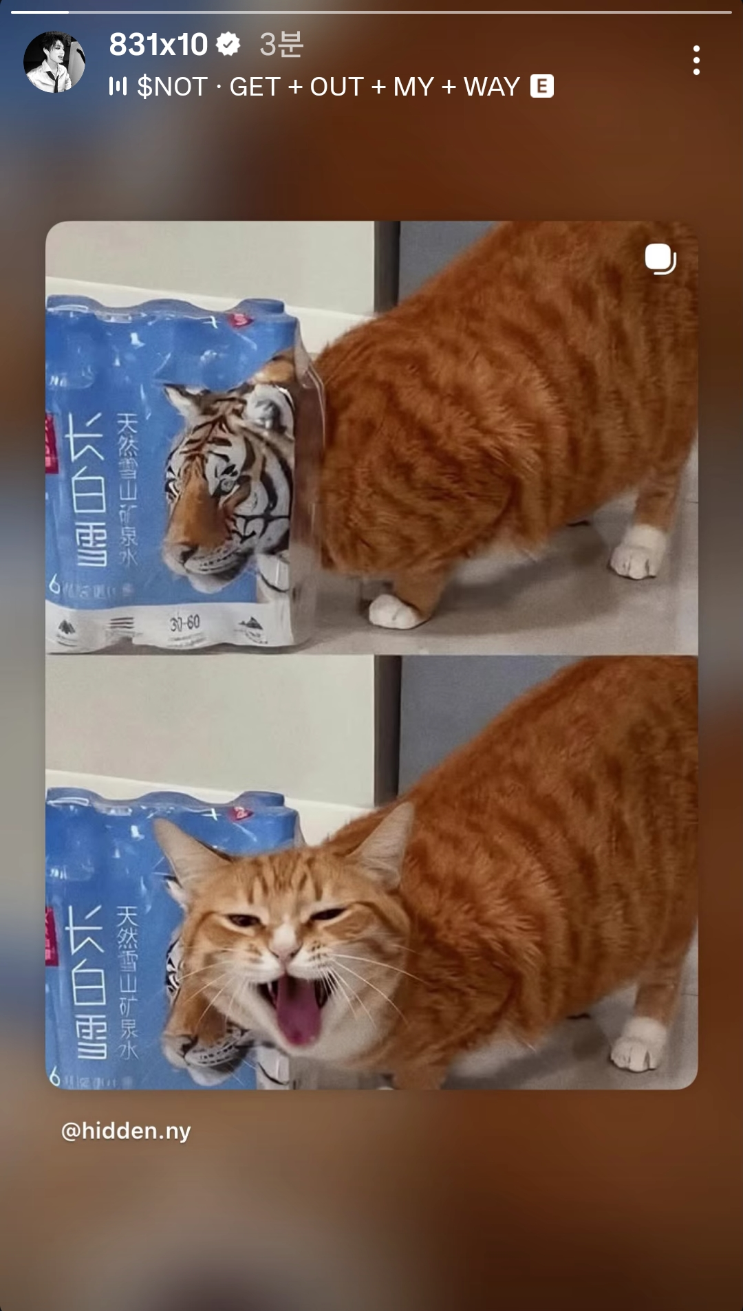 fFGHVS