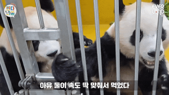 fTOceg.gif