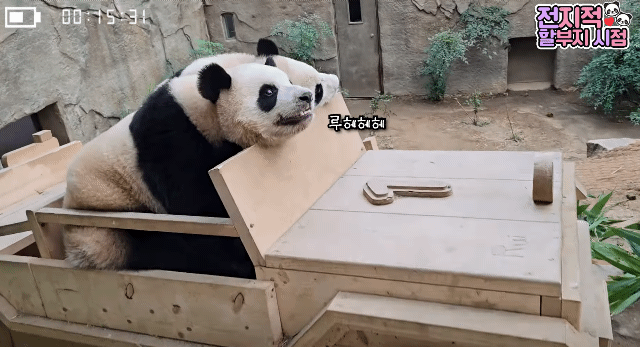 fTvfzc.gif