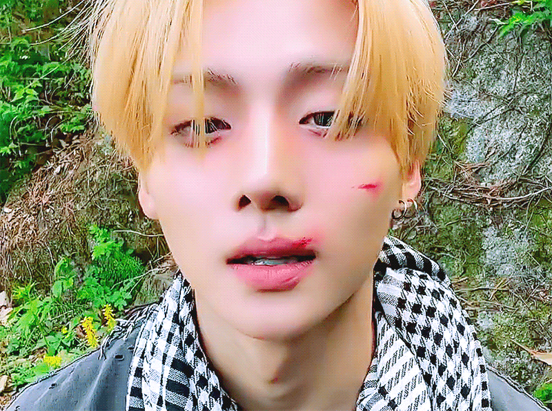 fWjdrJ.gif