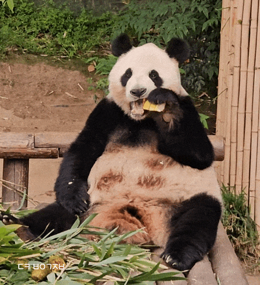 fcIoGU.gif
