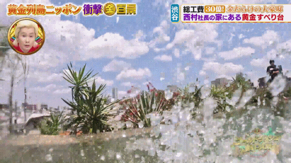 fivkXN.gif