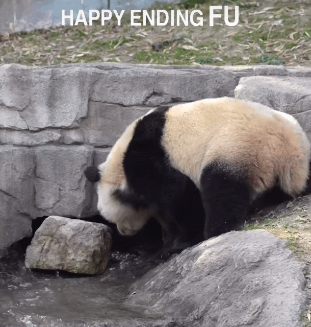 fnHMib.gif