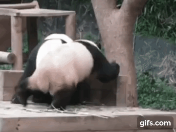 fncUJO.gif