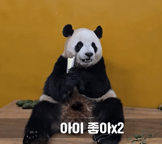 fqPSns.gif