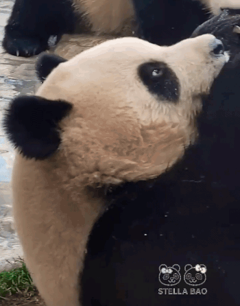 gEURVD.gif