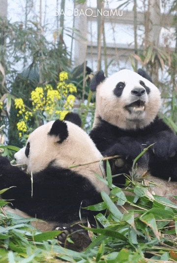 gEcuJo.gif