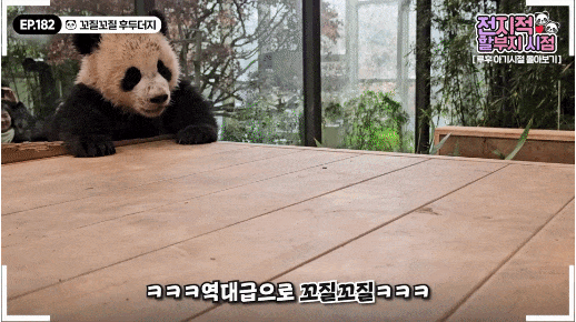gEeYfZ.gif