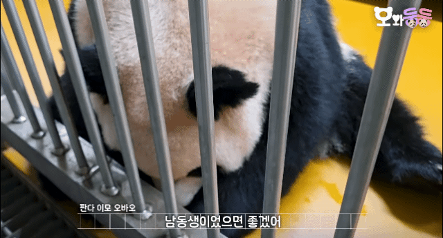 gceMnI.gif