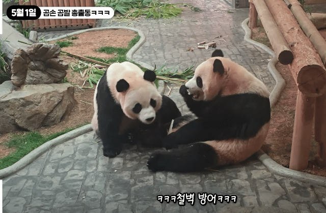 gdzapA.gif