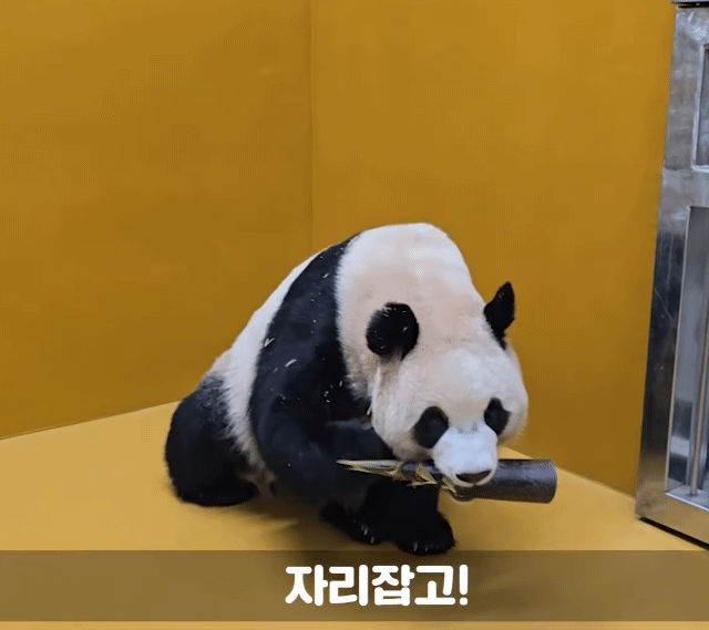 ghgBbX.gif