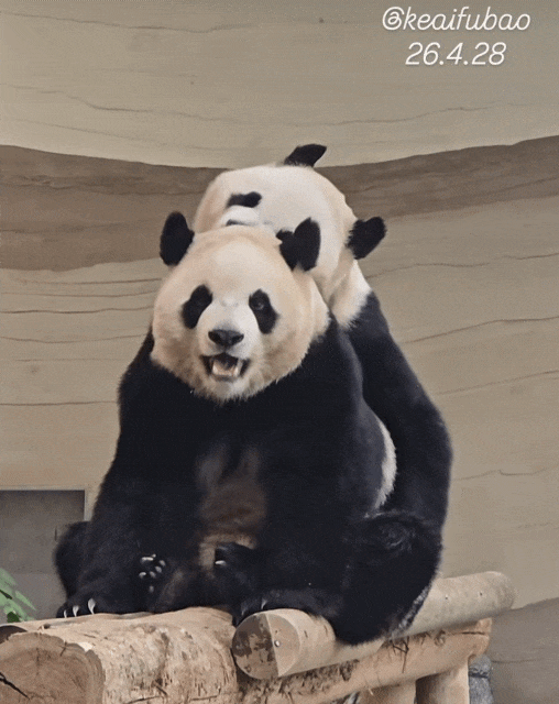 gmlxJo.gif