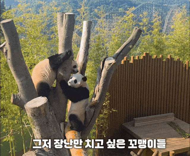 gnJana.gif