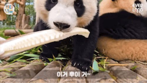 gpZQRZ.gif