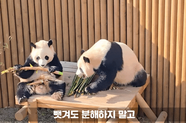 gpiXFn.gif