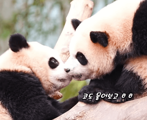 guWGXY.gif
