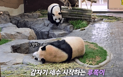 gxByln.gif