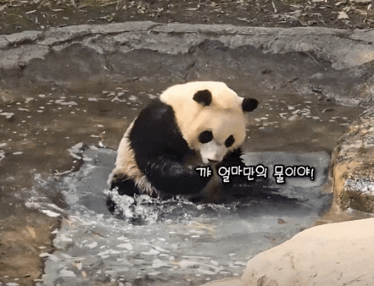 hEyaVH.gif