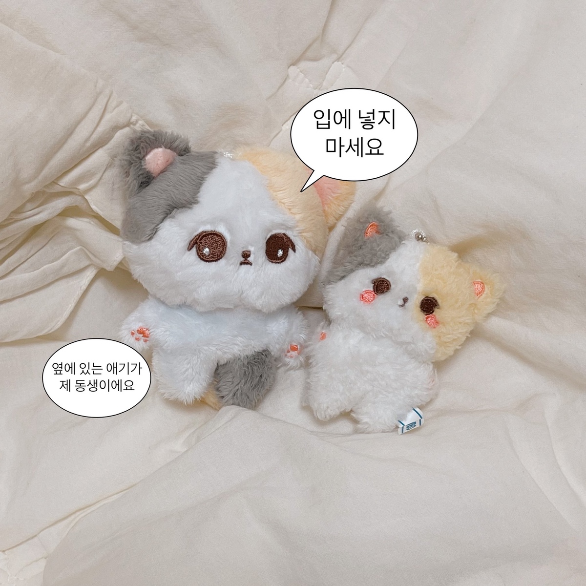 더쿠 - 드뎌... 내돌 인형 담달초에 받을 수 있어