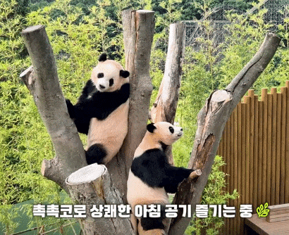 hGyXrC.gif