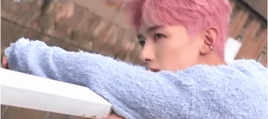 hOYoDy.gif