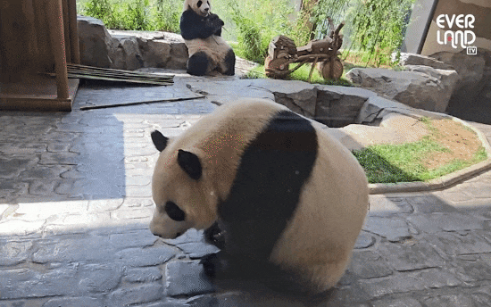 hQWnIa.gif