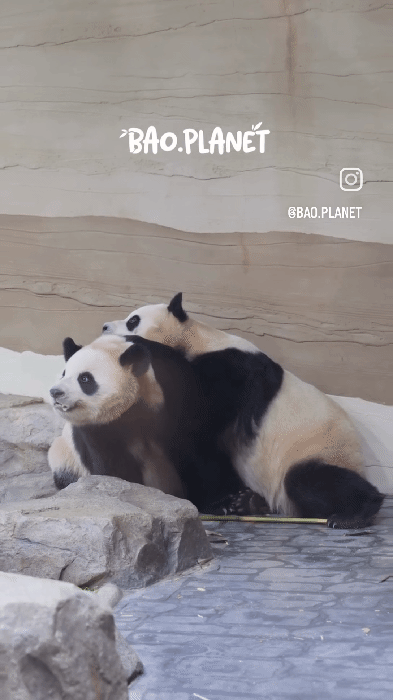 hRbQZJ.gif