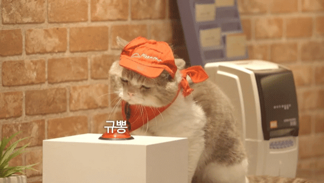 hdFZgx.gif