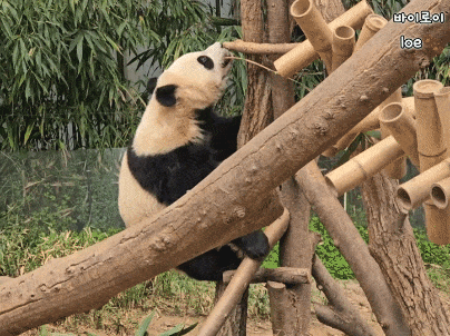 hdnwVz.gif