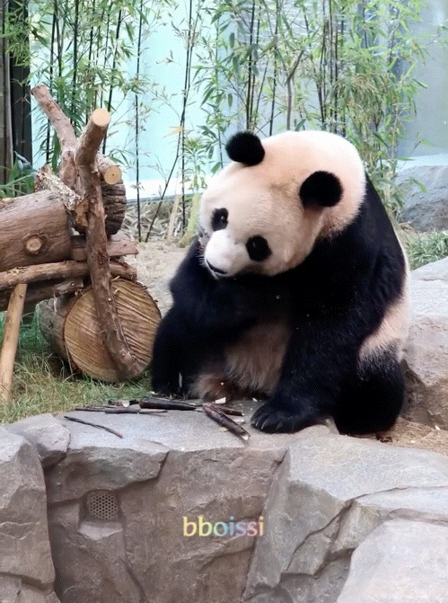hexkFY.gif