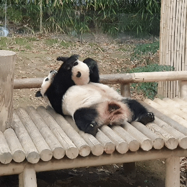 hiKprN.gif
