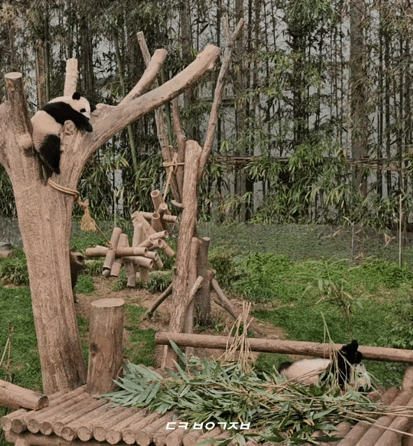 hkcIIh.gif