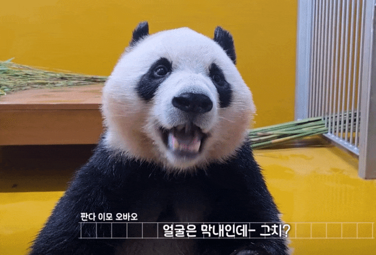 hlxOoh.gif