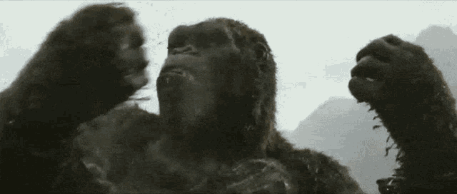 hvYCXJ.gif
