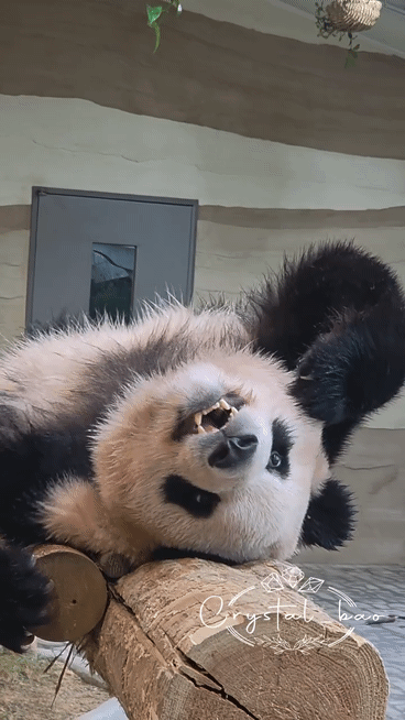 hwBoXQ.gif
