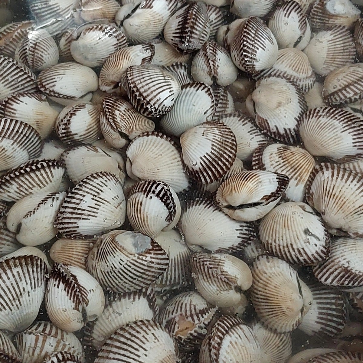 hyeDad