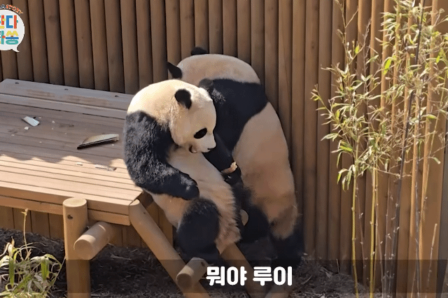 iFmWke.gif