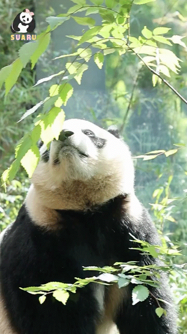 iGtqwm.gif