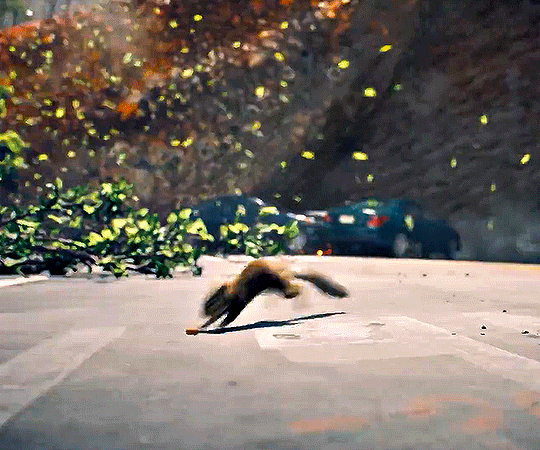iHSlMT.gif