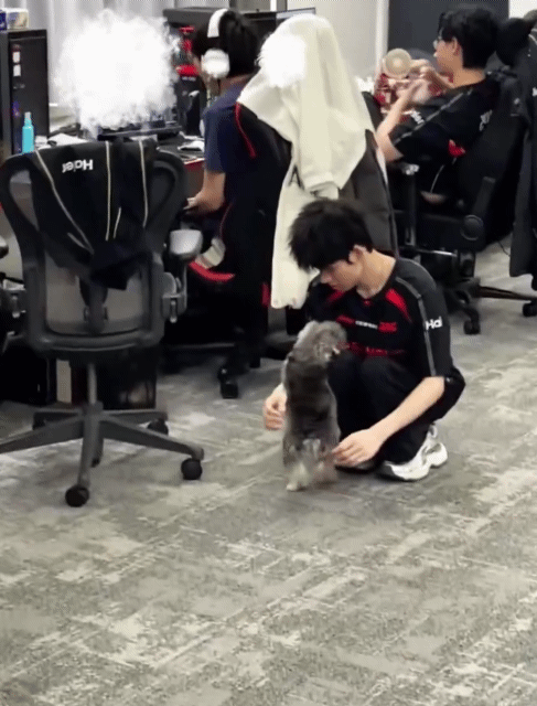 iKuxGl.gif