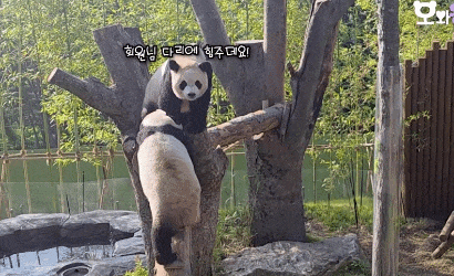 iPYQIA.gif