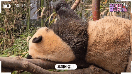 iRTeqH.gif